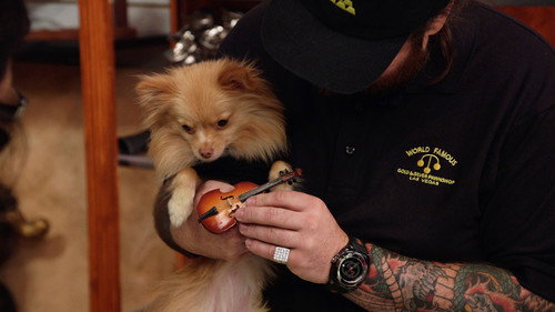 Pawn Stars Season 16 Episode 14 - Pawning Picasso