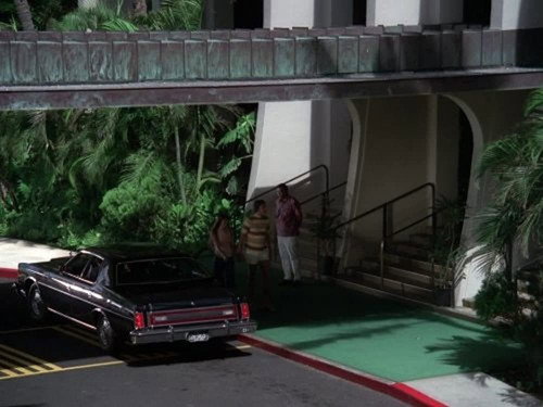 Hawaii Five-O Season 8 Episode 10 - Retire In Sunny Hawaii -- Forever