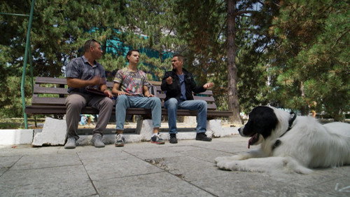 Fetch! Season 3 Episode 14 - Episode 14