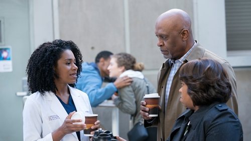 Grey's Anatomy Season 14 Episode 15 - Old Scars, Future Hearts