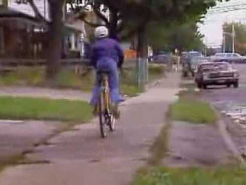 The Littlest Hobo Season 2 Episode 11 - Licence to Steal