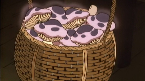 The Slug-a-Bed Mushrooms still
