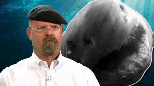 MythBusters Season 10 Episode 13 - Jawsome Shark Special