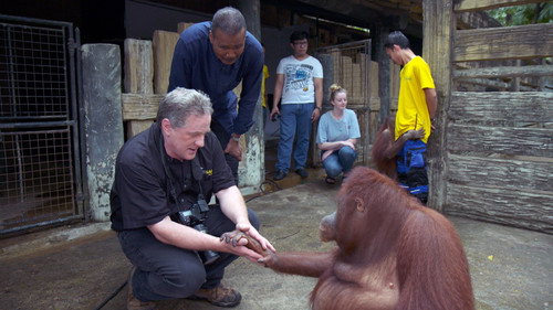 60 Minutes Season 52 Episode 17 - 60 Minutes Presents: Whitaker’s Wildlife Tour