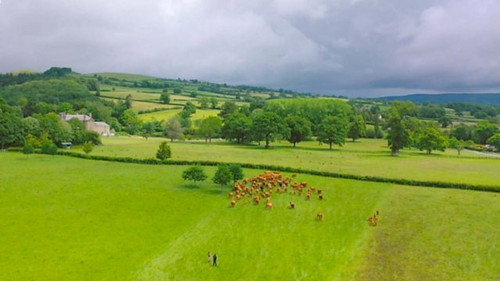 Shropshire Hills still