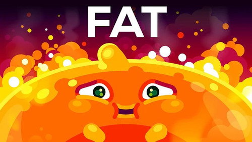 Kurzgesagt - In a Nutshell Season 13 Episode 20 - Let's Talk About Fat