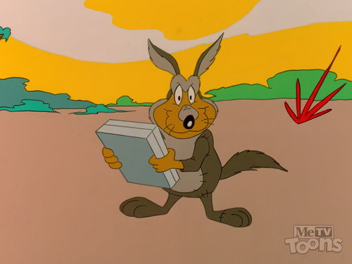 Taz-Mania Season 3 Episode 10 - Willie Wombat's Deja Boo-Boo