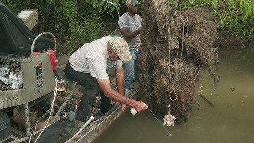 Swamp People Season 15 Episode 4 - Cypress Clash