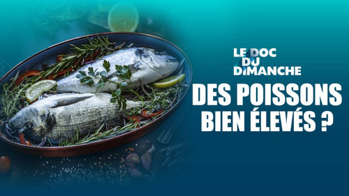 Le Doc du dimanche Season 14 Episode 32 - Episode 32