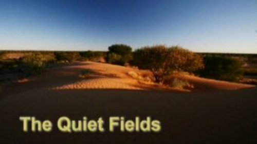 Meerkat Manor Season 2 Episode 13 - The Quiet Fields
