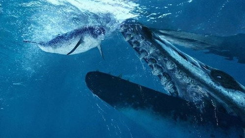 Walking with Beasts Season 1 Episode 2 - Whale Killer