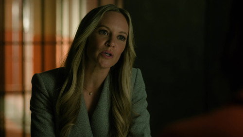 Found Season 2 Episode 16 - Missing While Witnessed