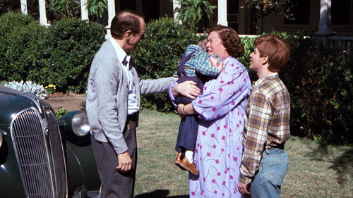 The Waltons Season 9 Episode 19 - The Heartache