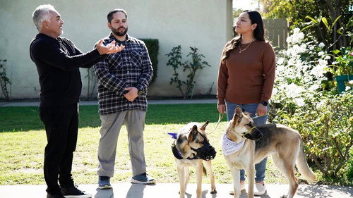 Cesar Millan: Better Human, Better Dog Season 5 Episode 6 - Explosive Shepherds