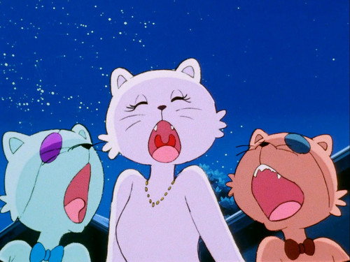 The Terror of Meow still