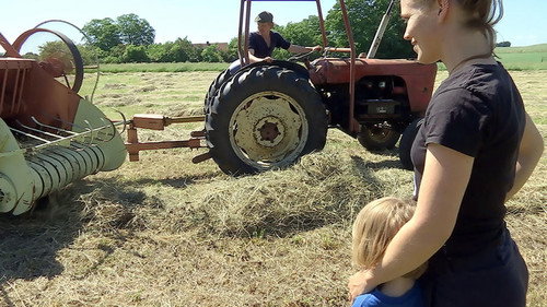 Frank & Kastaniegaarden Season 18 Episode 10 - Episode 10