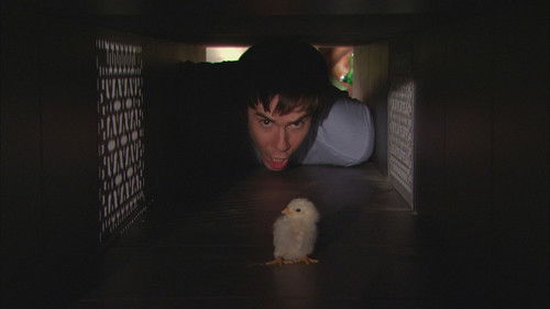 iCarly Season 1 Episode 16 - iHatch Chicks