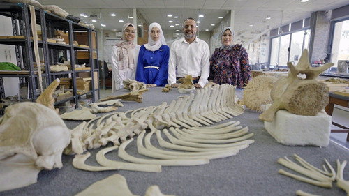 Lost Beasts Unearthed Season 1 Episode 4 - Secrets of the Terror Whale