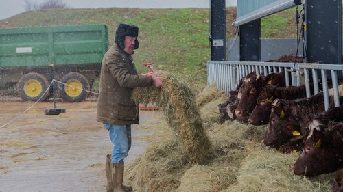 Clarkson's Farm Season 2 Episode 4 - Badgering
