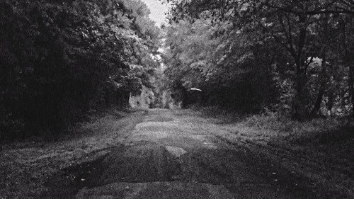 Killer Cases Season 1 Episode 4 - Murder on the Gulf Coast