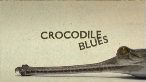 Natural World Season 28 Episode 4 - Crocodile Blues