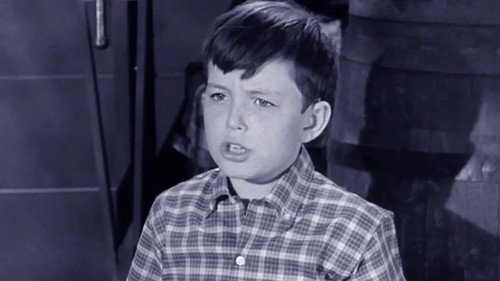 Beaver's Hero still