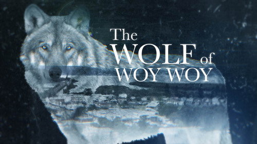 The Wolf of Woy Woy still