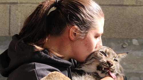 Secrets of the Zoo Season 4 Episode 7 - The Hissing Lynx
