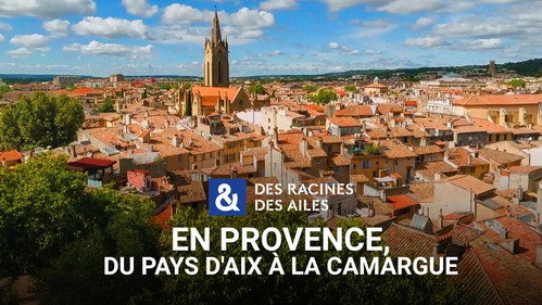 Des racines & des ailes Season 29 Episode 11 - Episode 11