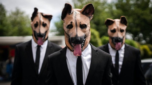 The Brokenwood Mysteries Season 7 Episode 3 - Dog Day Morning
