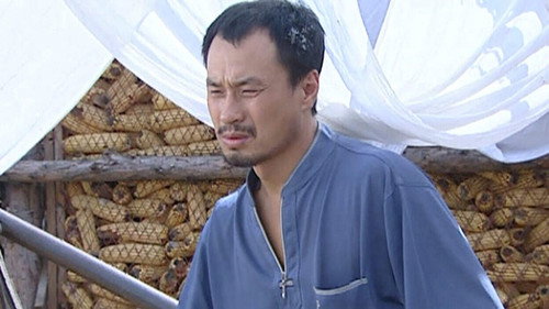 Love Stories in the Countryside Season 1 Episode 22 - Episode 22