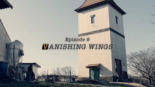 VANISHING WINGS still