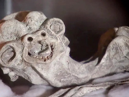 River Monsters Season 3 Episode 6 - Cold-Blooded Horror