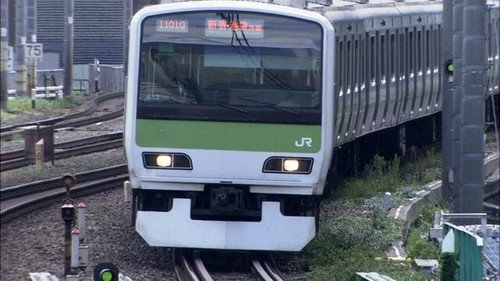 Dreams Along the Yamanote Line still