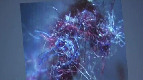 The Unexplained Files Season 1 Episode 4 - UFO, Mothman & Morgellon's Disease