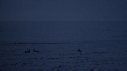 Life Below Zero Season 21 Episode 1 - Pulled from the Darkness