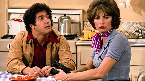Laverne & Shirley Season 1 Episode 11 - Fakeout at the Stakeout