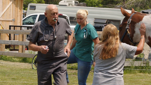 The Incredible Dr. Pol Season 24 Episode 2 - I've Never Met Herbivore