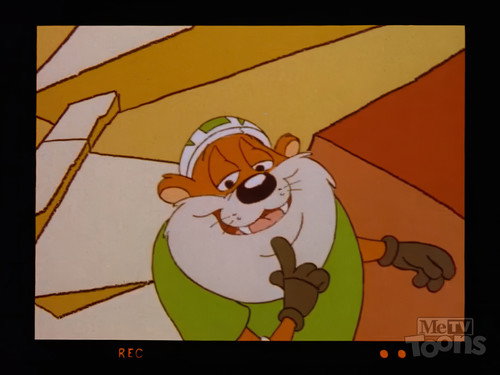 Taz-Mania Season 2 Episode 13 - Taz-Mania's Funniest Home Videos
