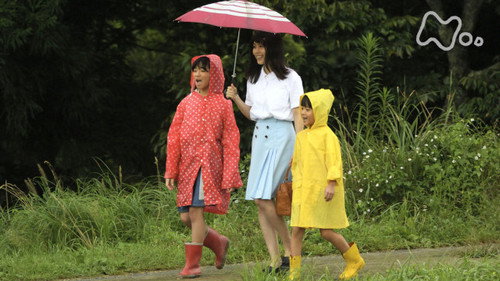 Final Week - Goodbye, Tears-kun still