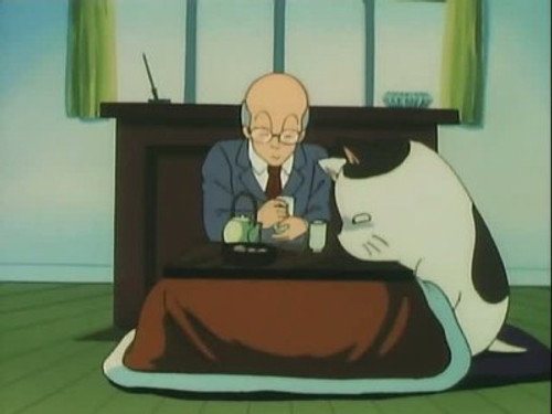Ran-chan Panic: There is No Tomorrow for Tomobiki Town still