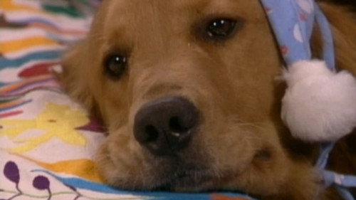 Cómplices Al Rescate Season 1 Episode 17 - Episode 17