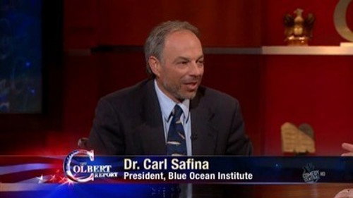 The Colbert Report Season 6 Episode 77 - Dr. Carl Safina