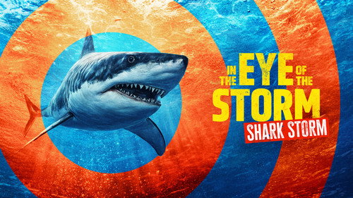 Shark Week Season 38 Episode 6 - In the Eye of the Storm: Shark Storm