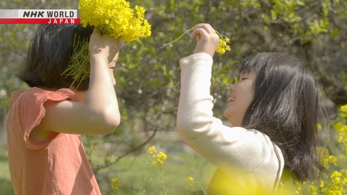 Hometown Stories Season 12 Episode 9 - A World Heritage Town: Past and Future