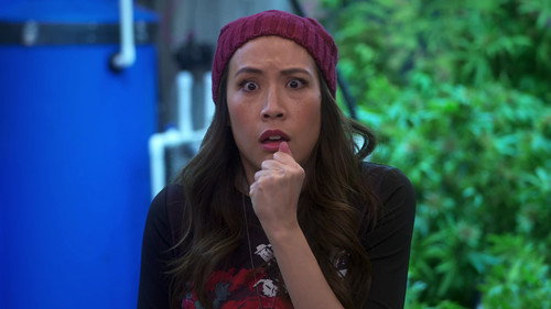 Disjointed Season 1 Episode 6 - Donna Weed