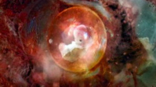 Through the Wormhole Season 3 Episode 3 - Is the Universe Alive?
