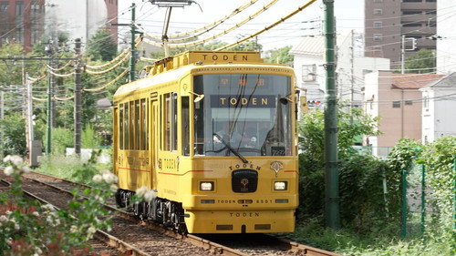 Japan Railway Journal Season 12 Episode 11 - Tokyo Sakura Tram: New Appeal for Old-Town Tokyo