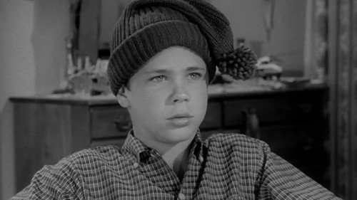 Leave It to Beaver Season 1 Episode 4 - The Haircut