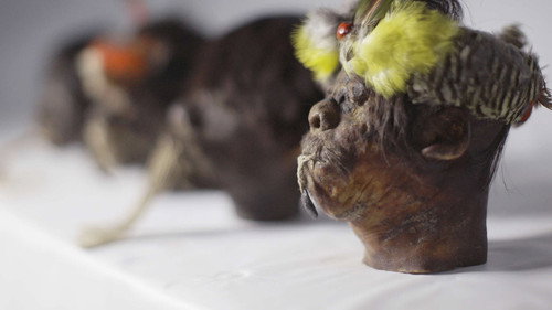 Secrets Season 4 Episode 6 - Shrunken Heads